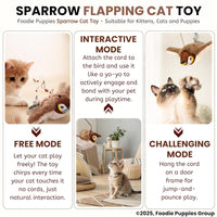 Flapping Sparrow Interactive Cat Toy™